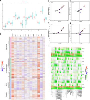 MARCH1 as a novel immune-related prognostic biomarker that shapes an inflamed tumor microenvironment in lung adenocarcinoma